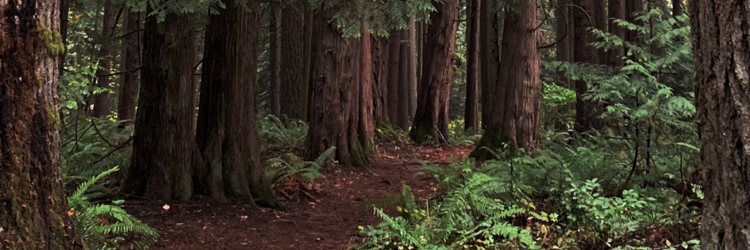 VikingAllison7's profile banner image