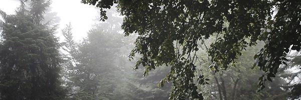 Klyaksa19's profile banner image