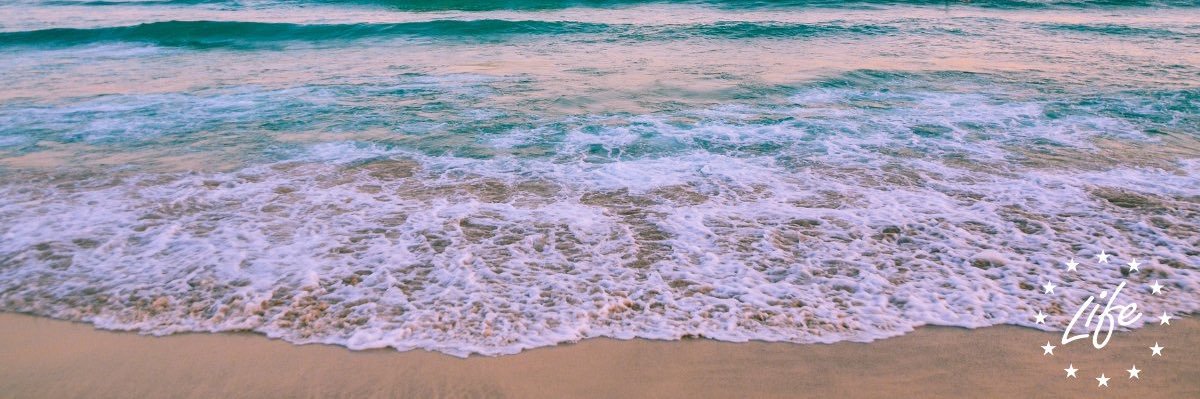 JadeFlynn__x's profile banner image