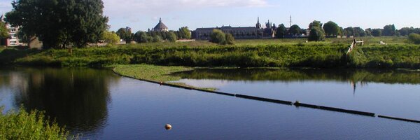 jkivit Profile Banner