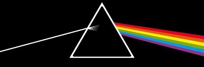 ceo of tax evasion banner