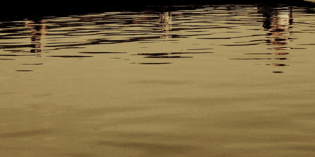 grace_cornz's profile banner image