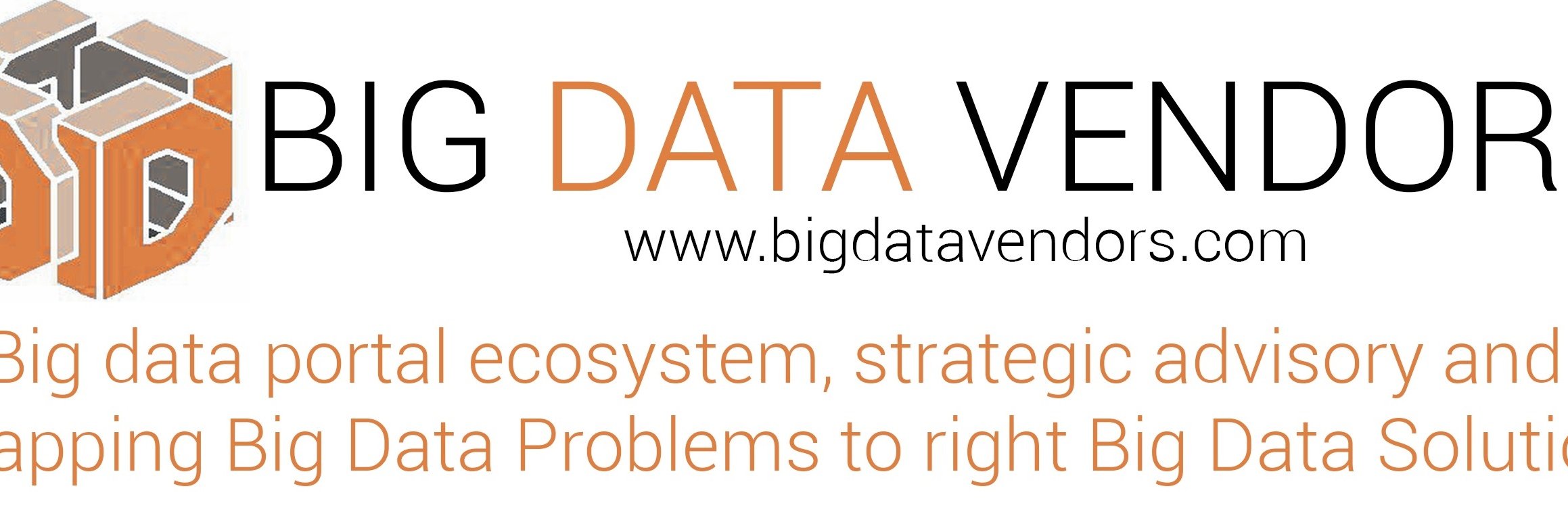 BigDataVendors's profile banner image