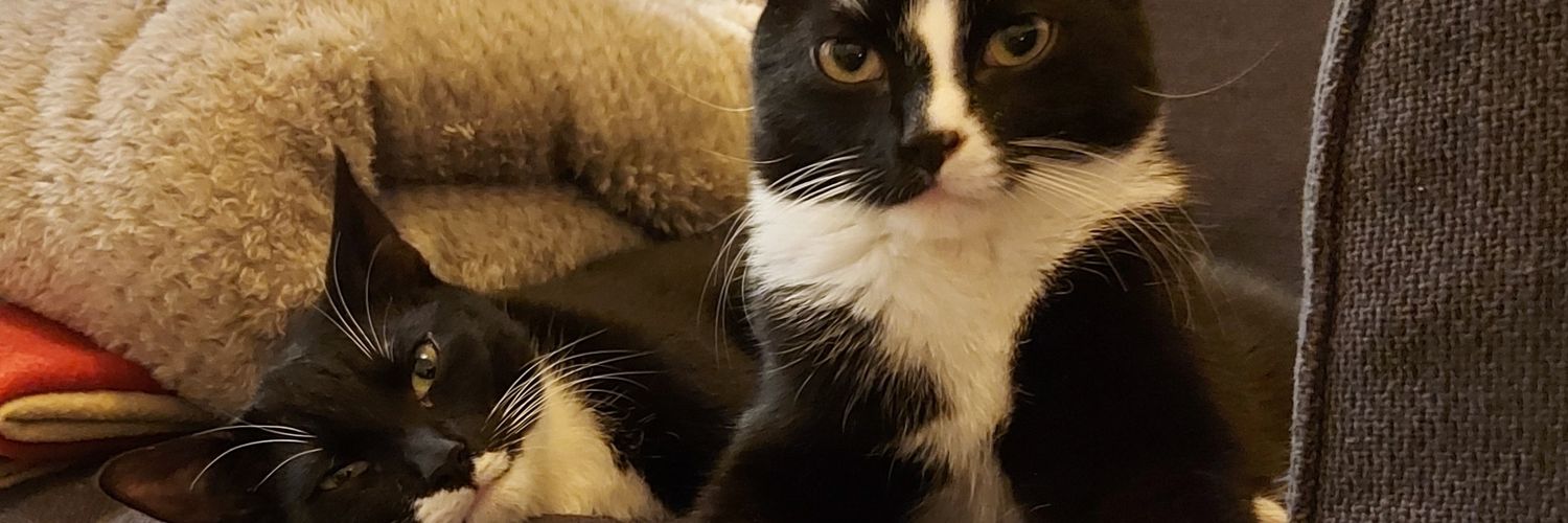 Rogue & Ranger banner