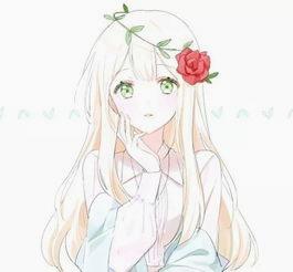 Y633752's profile banner image