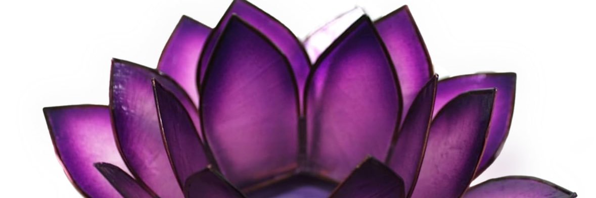 aileymae's profile banner image