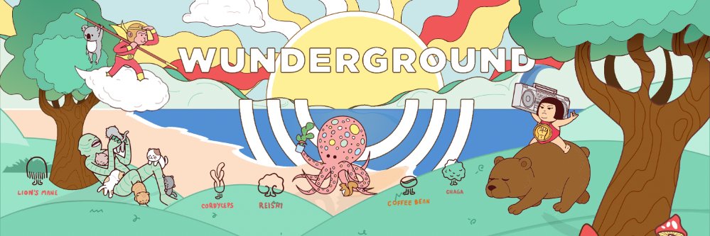 🍄 Wunderground ☕️ banner