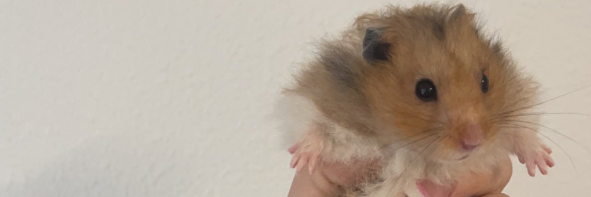 alhudge's profile banner image