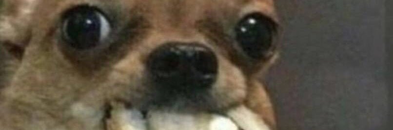 Василий banner