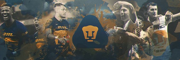 PUMA banner