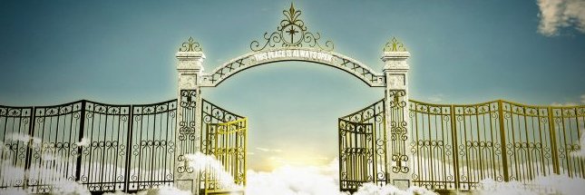 𝐀𝐩𝐞𝐫𝐮𝐧𝐧𝐞𝐫🦍👑💎 banner