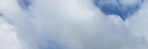 Natalie Johnson banner