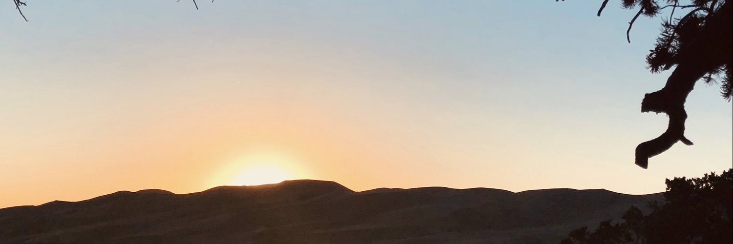 emgottenborg's profile banner image