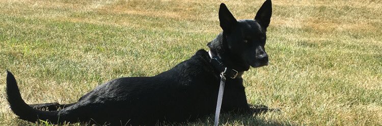 mthrasher95's profile banner image