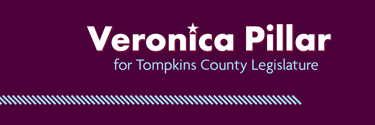 Veronica Pillar for Tompkins County banner
