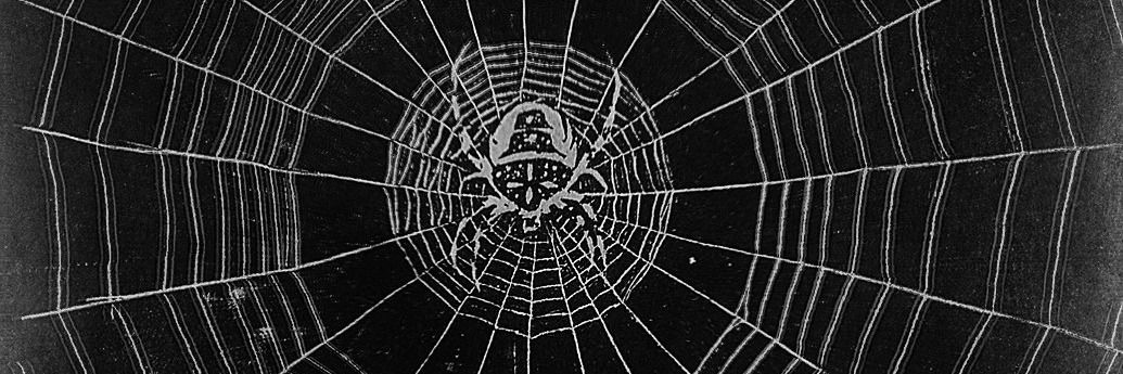 𝖔𝖈𝖙𝖔𝖇𝖊𝖗 banner