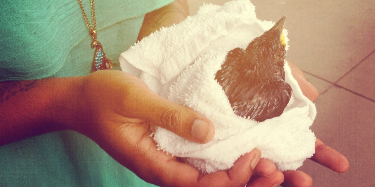 ✨🌻 Lock, Shock, and Barrel’s Fav Auntie 🌻✨ banner