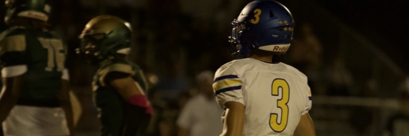 Napoleon Ellison banner