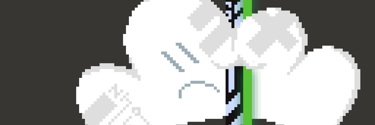 pankeko_'s profile banner image