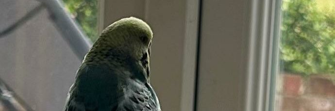 saggieknackers's profile banner image