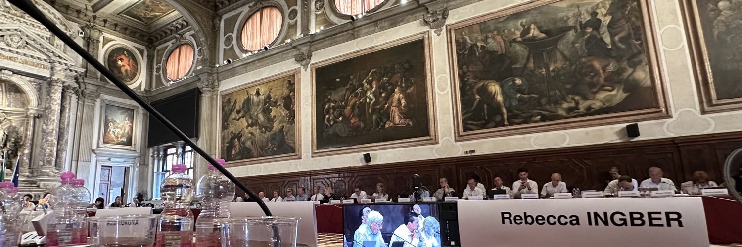 Rebecca Ingber banner