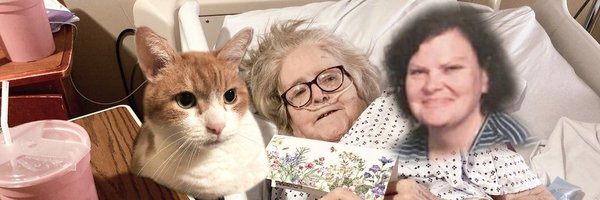 SnowFairy29 Profile Banner