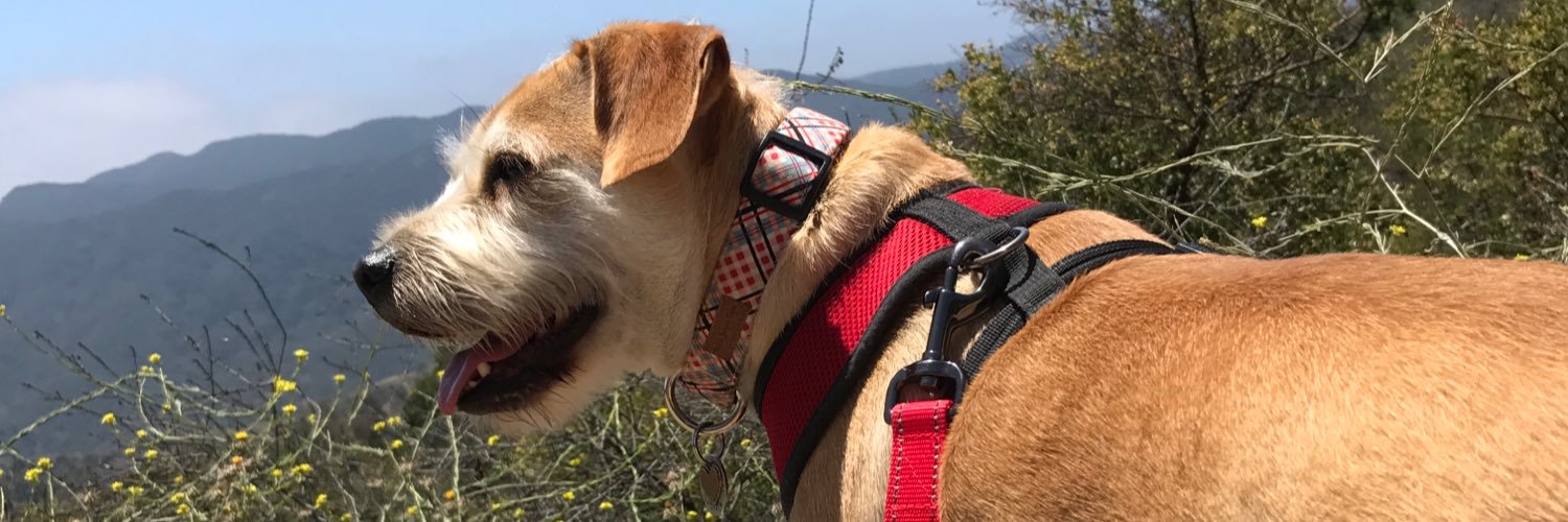 hilarymtb's profile banner image