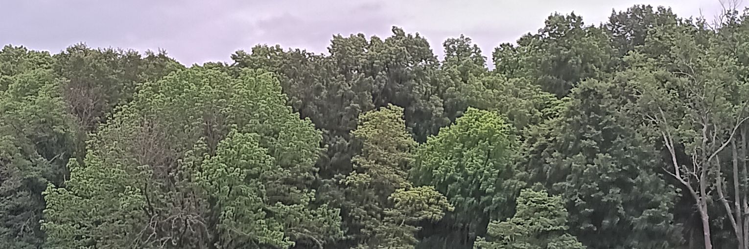 tinaree71's profile banner image