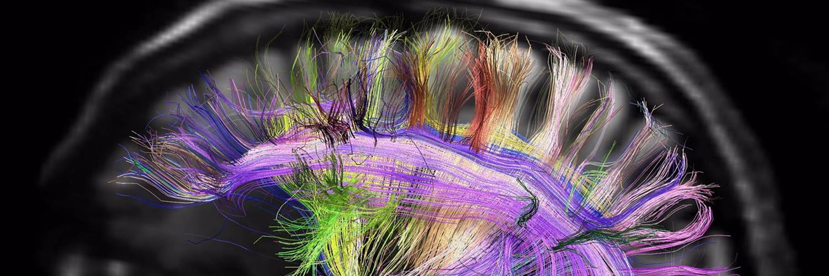 Sebastian F. Winter, MD PhD banner