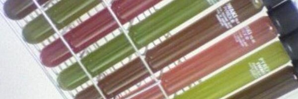 JiroV Profile Banner