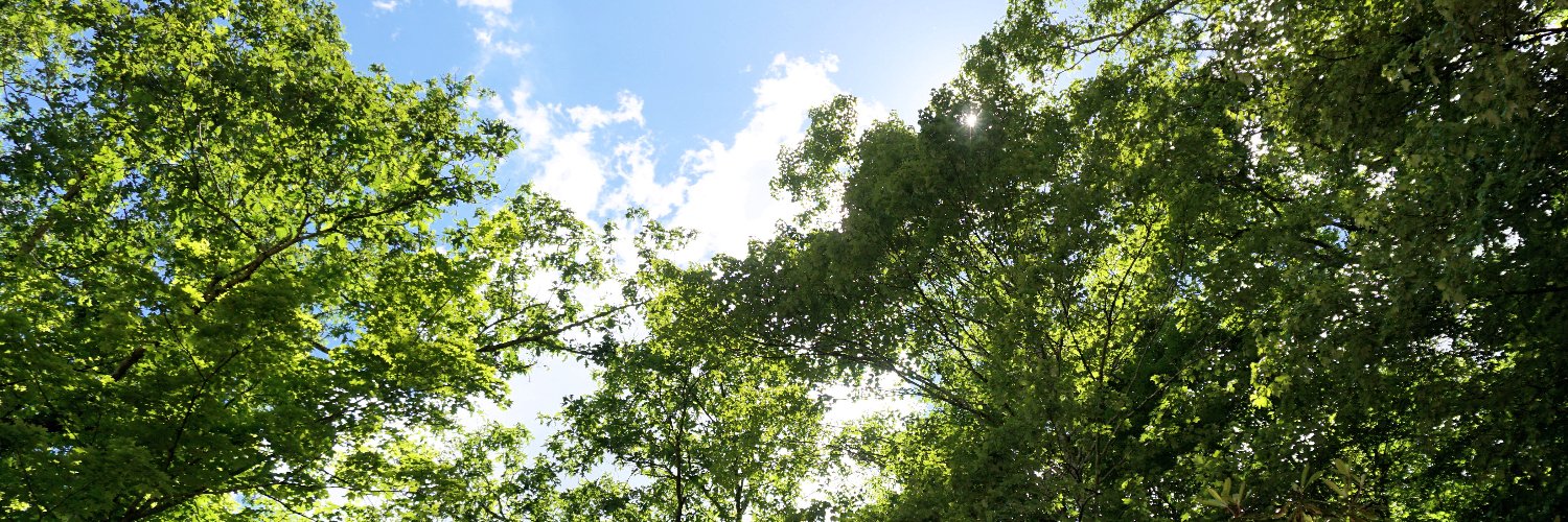 CaseyJackAllen's profile banner image