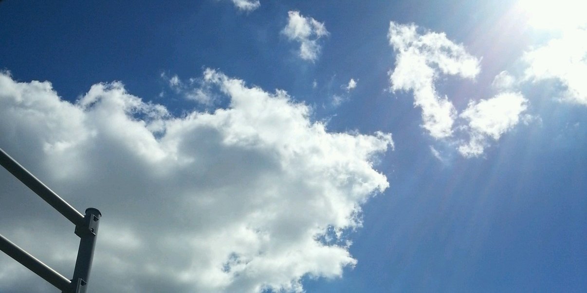 sandyfogs's profile banner image