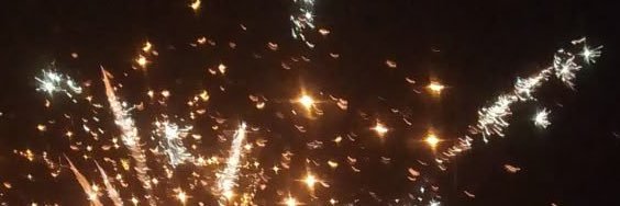 crow 🐾🇵🇸 banner