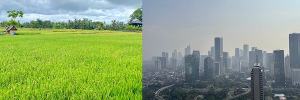 davidjmaireles Profile Banner