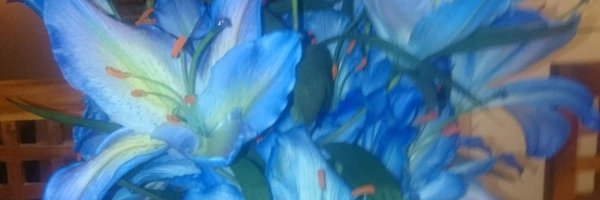 BroadhurstKim Profile Banner