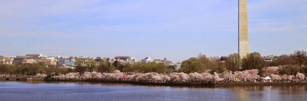 AAAS_GR Profile Banner