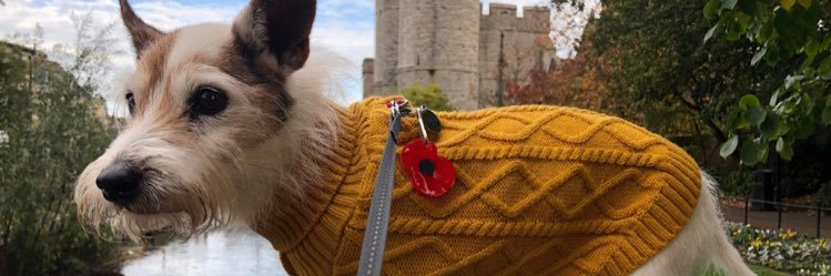 MrStafftastic's profile banner image