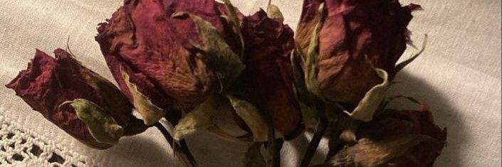 jowaop's profile banner image
