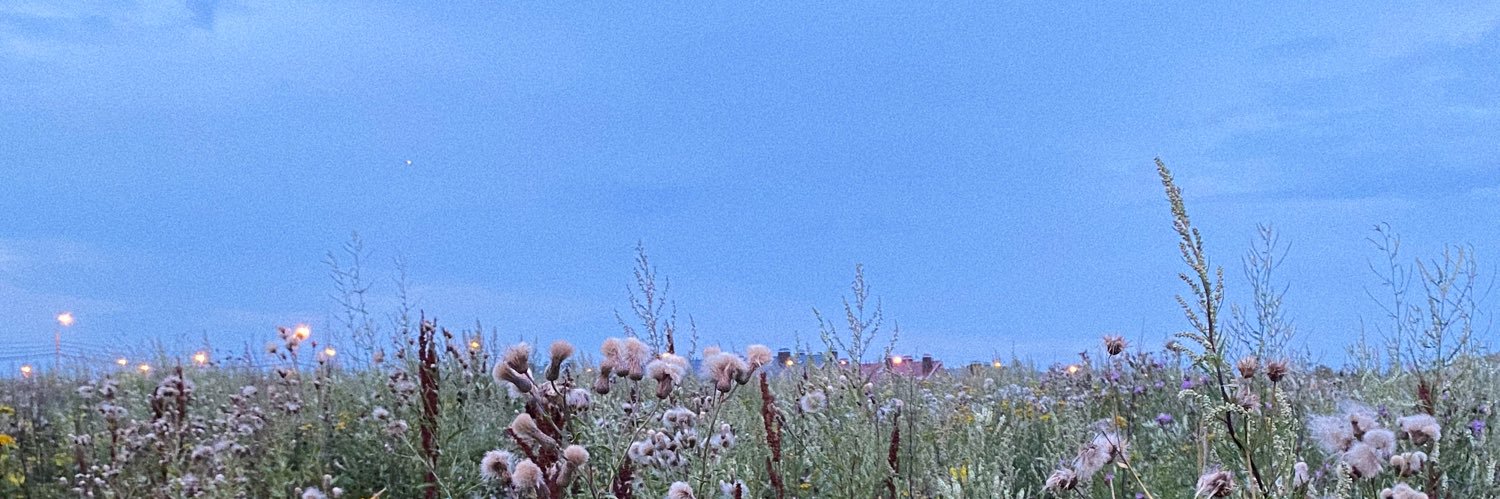 мэри banner