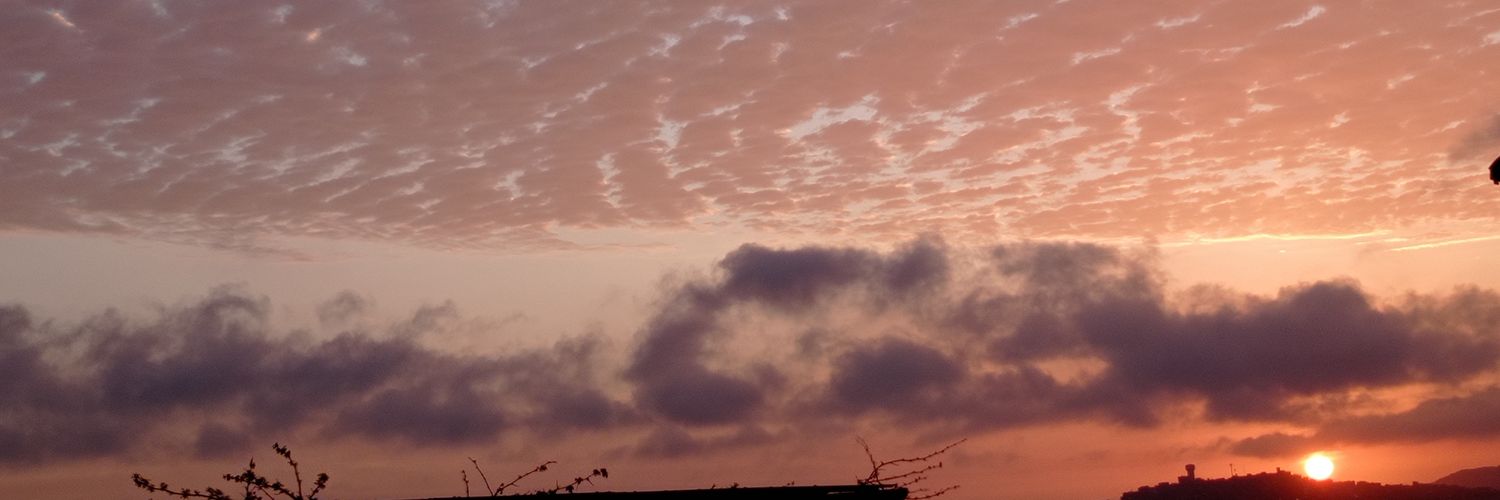 vssbas's profile banner image