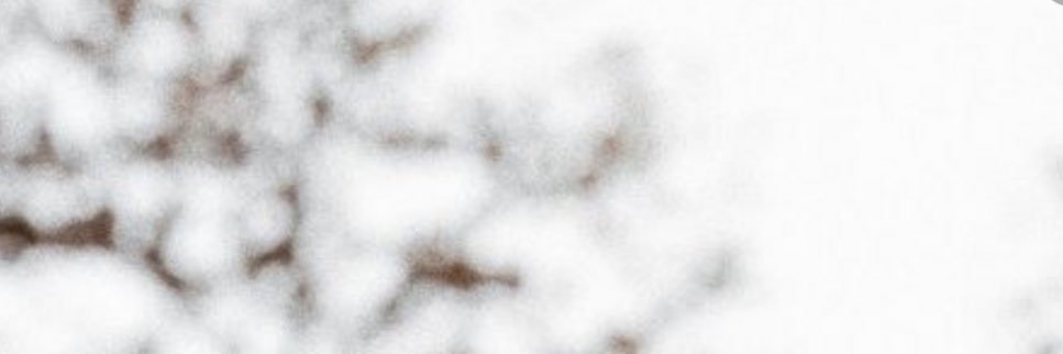 catlen70's profile banner image