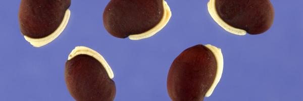 Harrison_CR Profile Banner