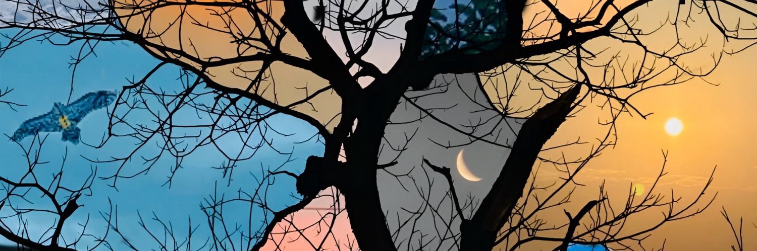 NeyoValue's profile banner image