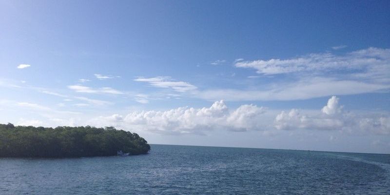 cubanliberal's profile banner image