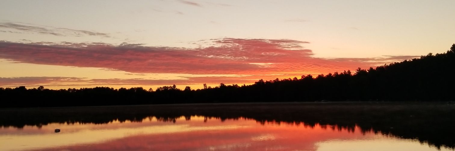 lauraunfried's profile banner image