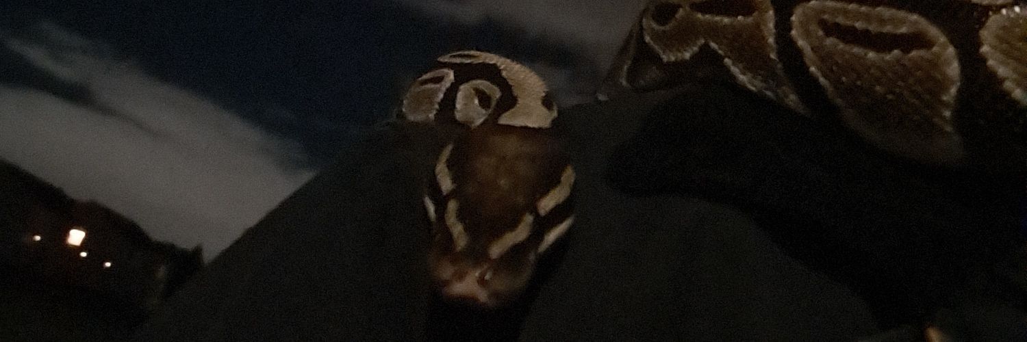 Bophaedeez banner