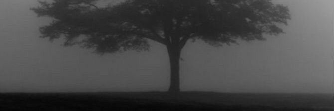 ilhammarlis ☔ banner