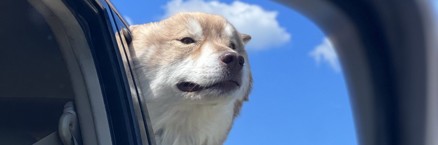 devrieshannnah's profile banner image