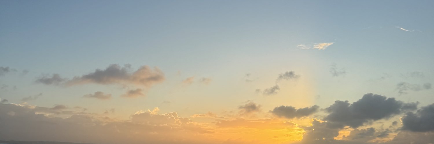 lilreya's profile banner image