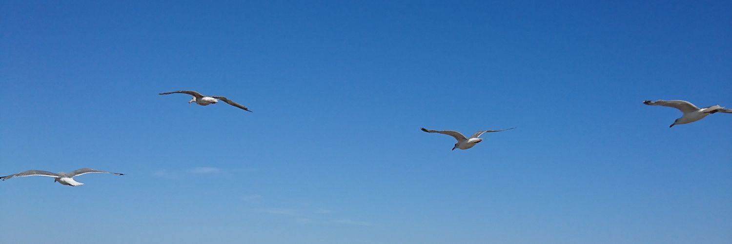 Egal76839893's profile banner image